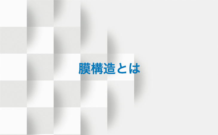 膜構造とはリンク画像